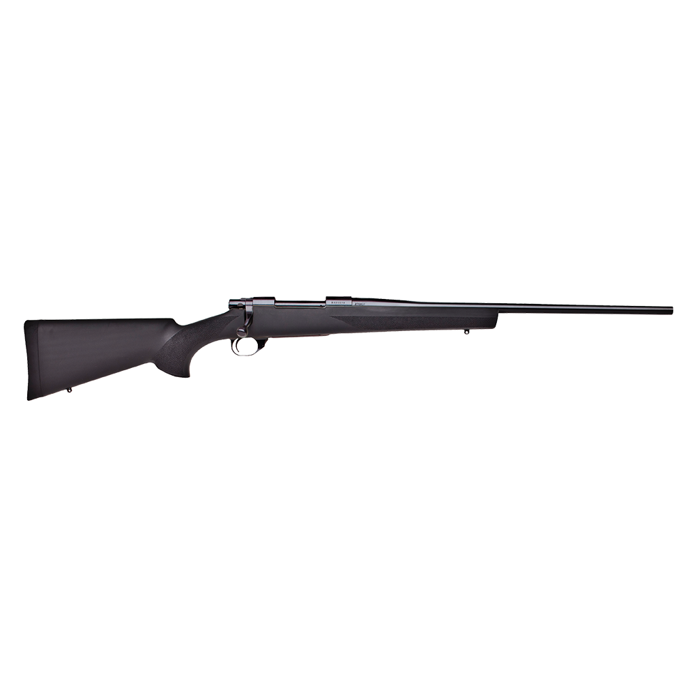 howa-1500-22&quot-standard-30-06-spring-blue